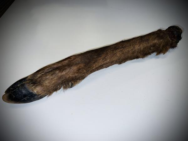 Hirschbein mit Fell